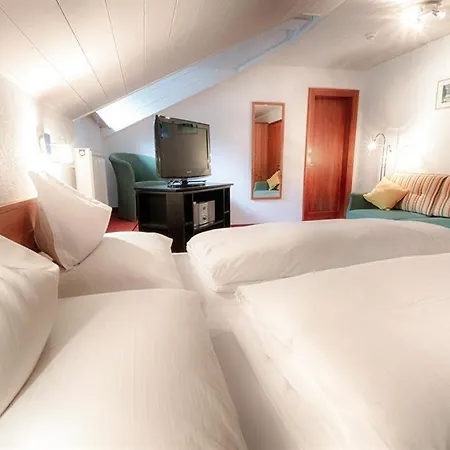 Desiree Inkl Der Super Sommer Card Im Sommer 2025 Apartment